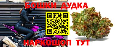 spice Шелехов