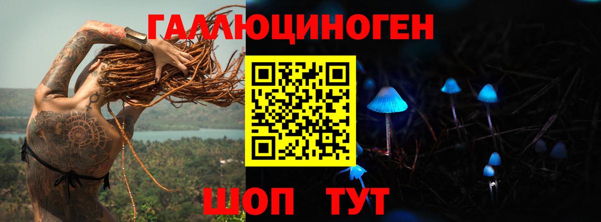 продажа наркотиков  Галлюциногенные грибы Cubensis  Вход с VPN  Северобайкальск 